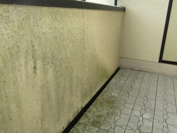 ベランダの外壁のカビ