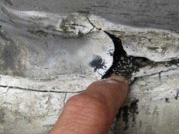 シート防水の中には水が