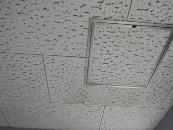 室内に雨漏りのシミ