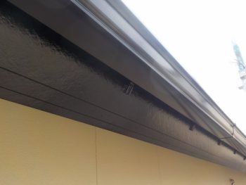 鼻隠しの塗装完成