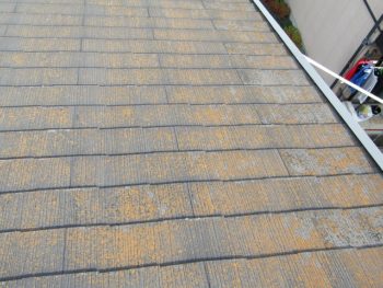 屋根の施工前は苔が生えている