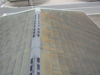 屋根の北側が苔だらけになっている