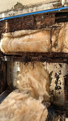 雨漏りしているサイディングの中