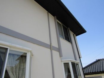 色合いがとても素敵