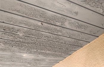 軒天の塗膜の劣化