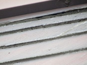 瓦と瓦の隙間にシーリングを打っている