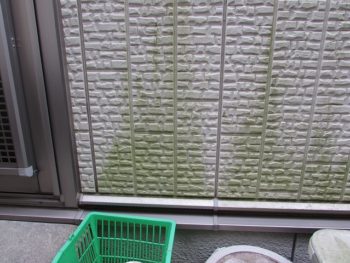 外壁は苔や藻が多い