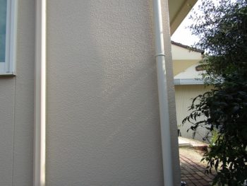 ゆず肌模様がキレイ