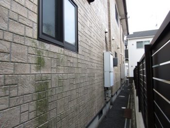 コケや藻が生えた外壁