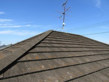 コケが多いモニエル瓦