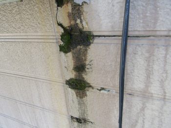 雨漏り箇所
