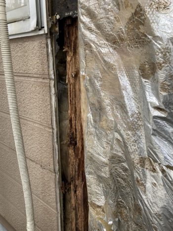 雨漏り箇所のサイディングを剥がす