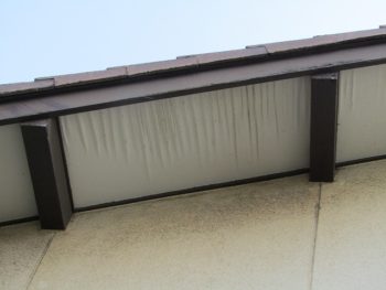 軒天・母屋木施工前