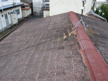 屋根の施工前
