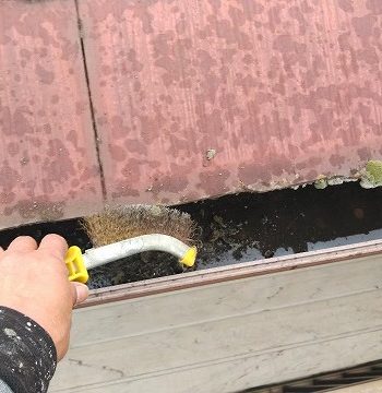 苔はブラシで除去