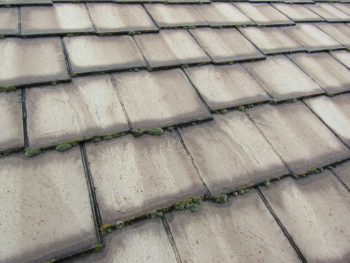 苔が多く生えた屋根