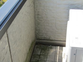 バルコニーのコケ