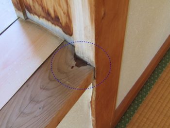 散水調査によって水が出てきた