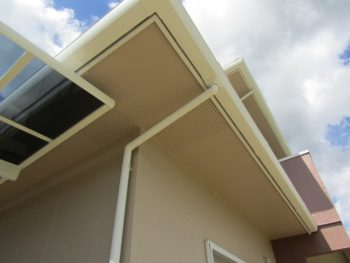 樋も外壁も美しい