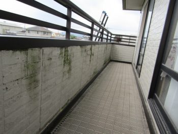 バルコニーはコケが多く発生