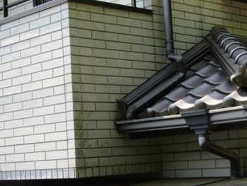 北側は苔が生えていた