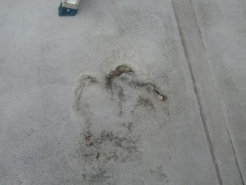 開放廊下の塗膜の剥がれ