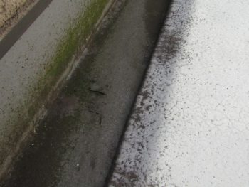 バルコニー防水層劣化