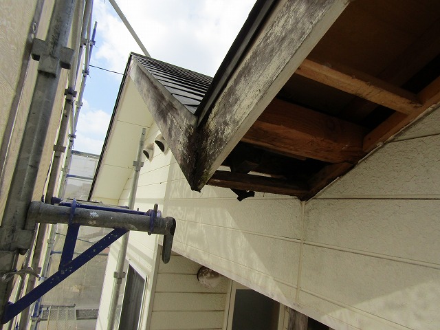 腐食していた軒天