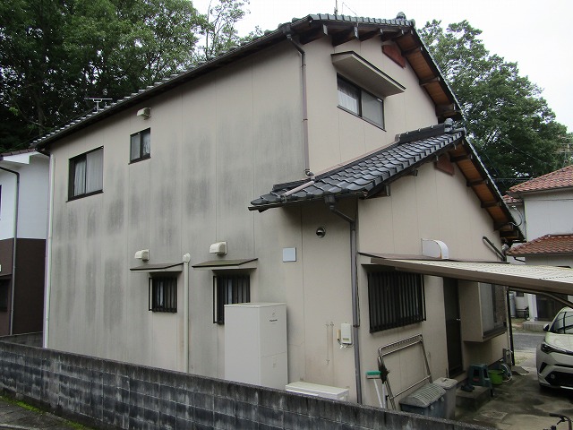 苔や藻・カビが発生した北側のカベ