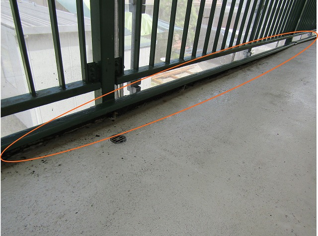 洗浄後苔がすっきりなくなっていた