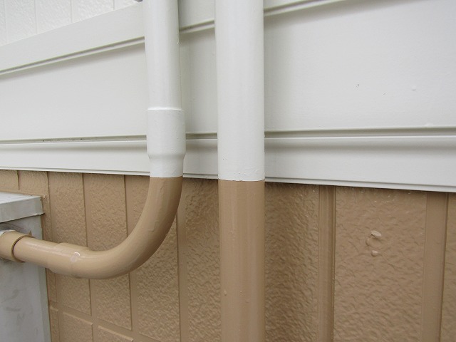 ラインがとてもキレイ