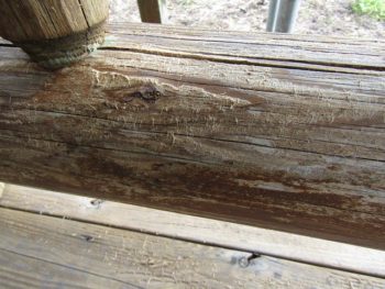 木の表面のささくれ