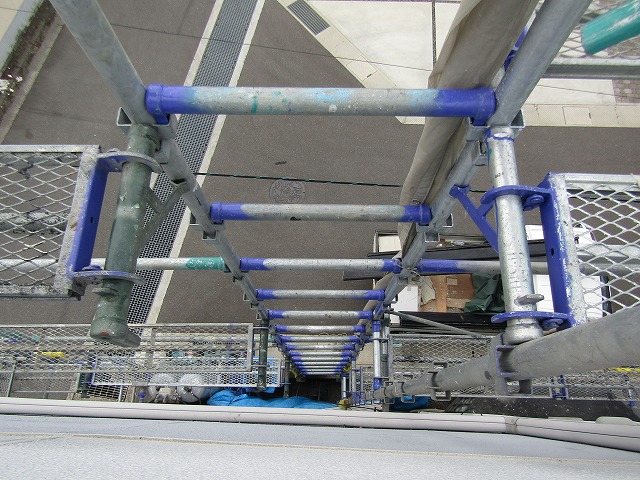頑張って登った足場のはしご