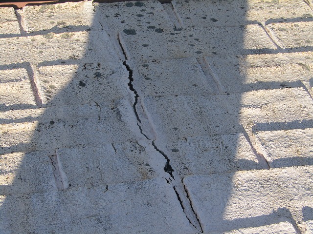 &#12450;&#12473;&#12501;&#12449;&#12523;&#12488;&#12471;&#12531;&#12464;&#12523;&#23627;&#26681;&#12398;&#12402;&#12403;