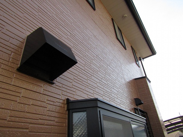 苔が多くあった北面