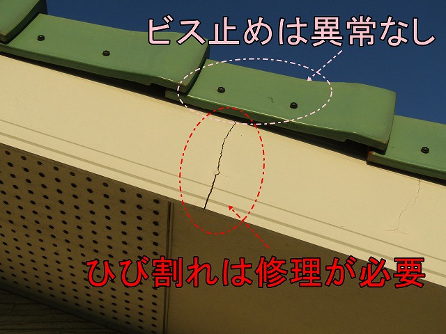 屋根部分の調査