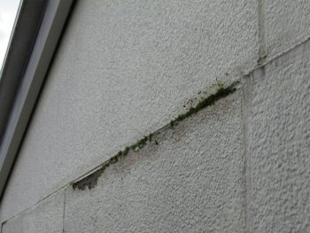 外壁からの雨漏り