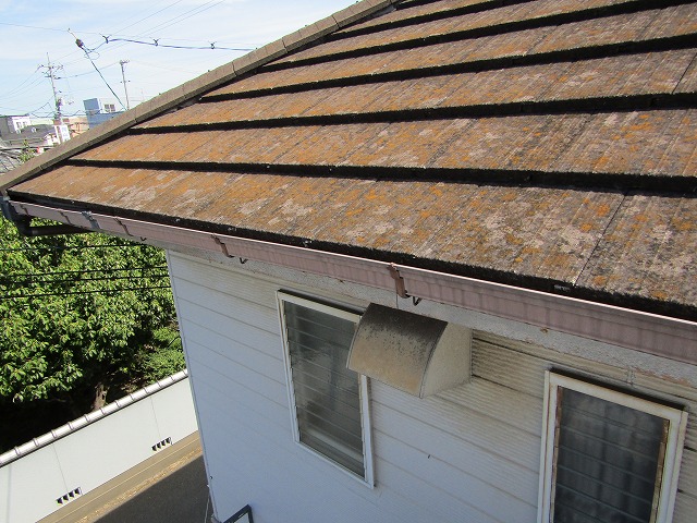 コケだらけの屋根