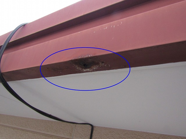 &#23627;&#26681;&#12363;&#12425;&#12398;&#38632;&#28431;&#12426;