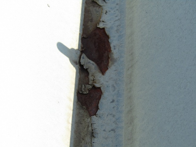 &#25240;&#21322;&#23627;&#26681;&#12398;&#12469;&#12499;