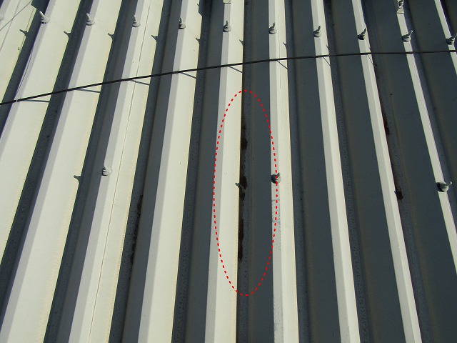 &#23627;&#26681;&#12398;&#19978;&#12363;&#12425;&#35211;&#12383;&#20889;&#30495;