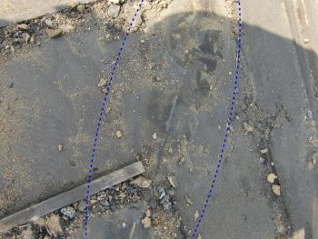 瓦を撤去すると雨漏りの形跡が