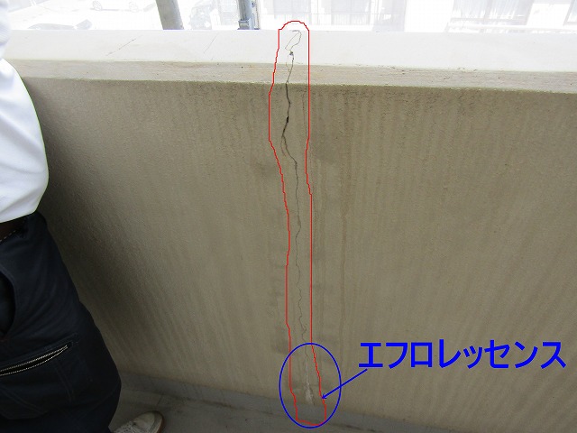 腰壁のひびとエフロ