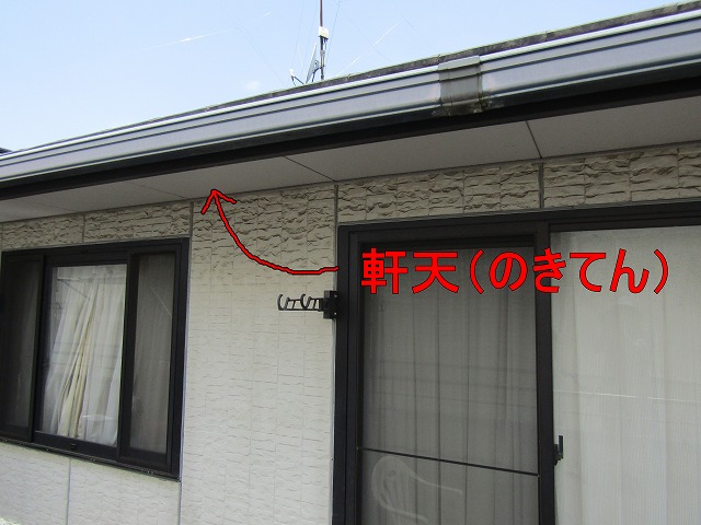 軒天はここです