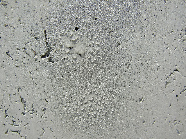 レッカノンを塗って撥水性バツグン