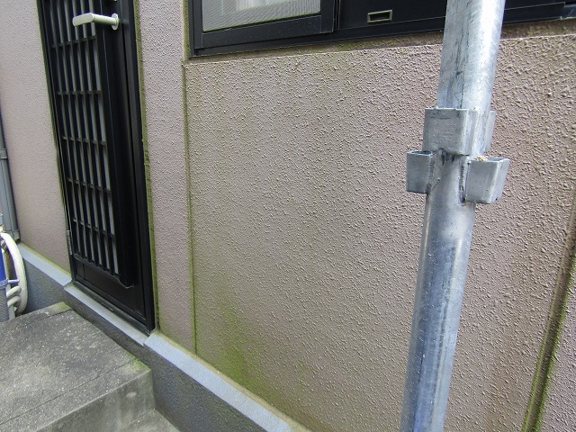 外壁のコケや藻