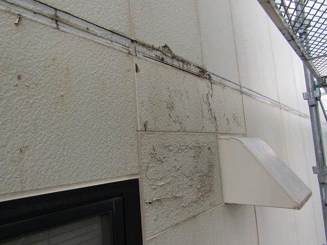 切れたコーキングから漏水してしまった