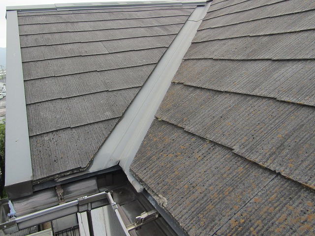 屋根にできたコケ