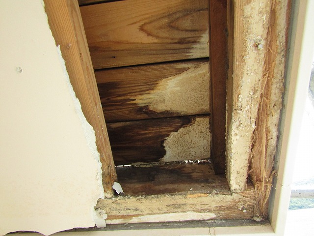 雨漏りによる軒天の劣化