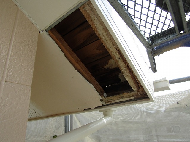 雨漏りによる軒天の劣化